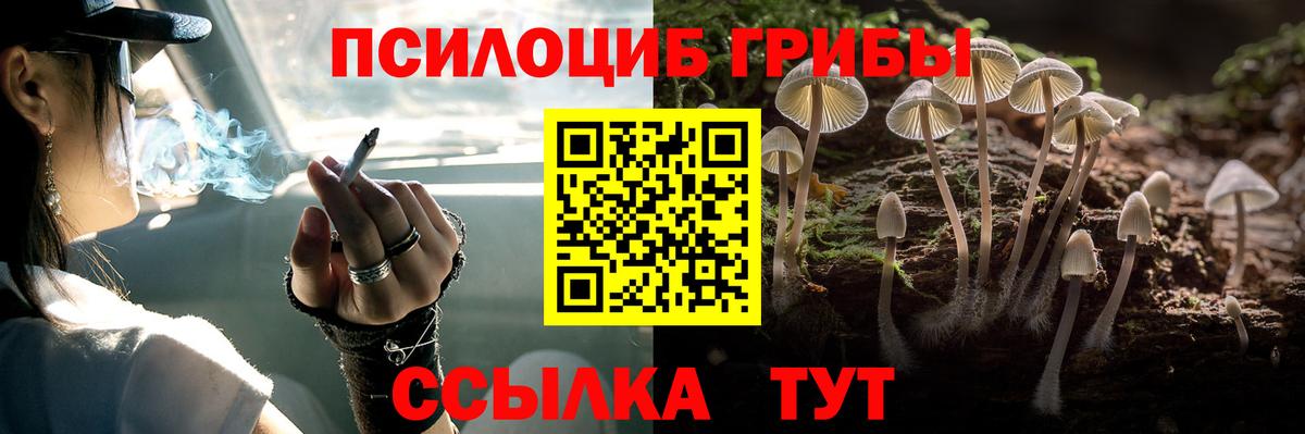 Сертолово  Псилоцибиновые грибы мухоморы  Вход с VPN 